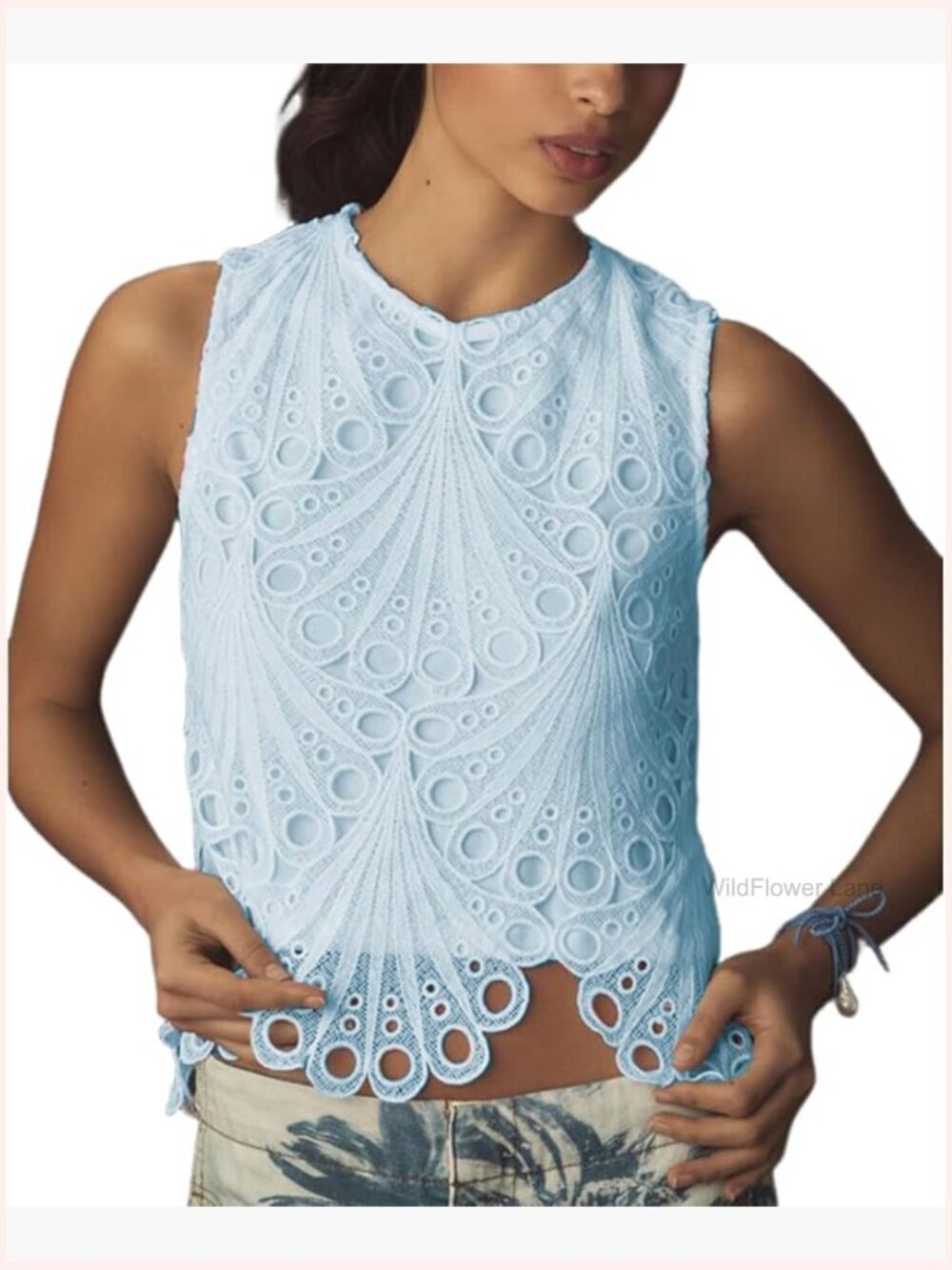 Crewneck Sleeveless Crop Top Floral Embroidery Lace Sheer Blouse